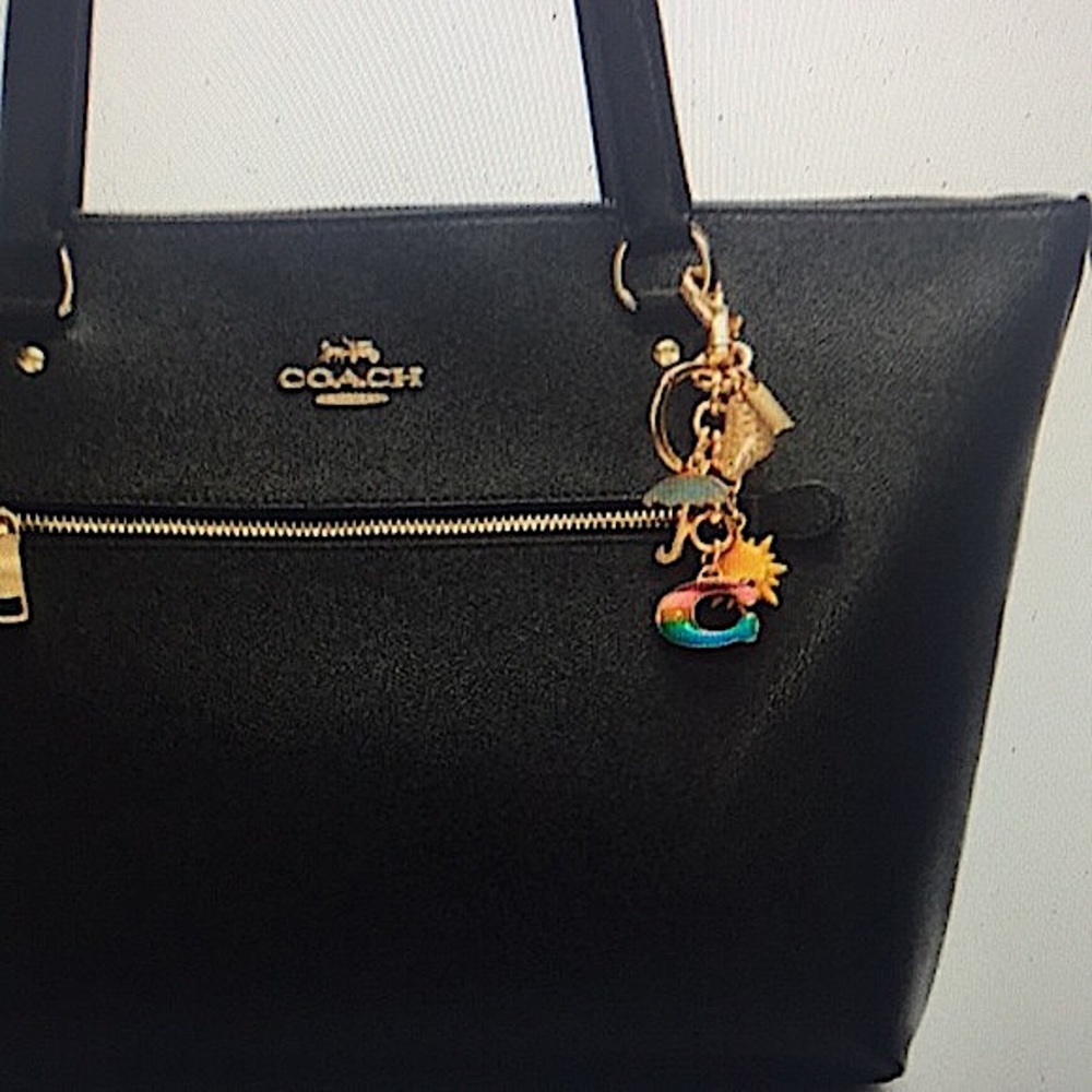COACH - RAINBOW MIXED CHARMS BAG CHARM / KEYCHAIN - Picture 11 of 11